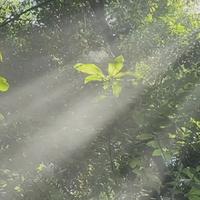 我的窝窝呀头像