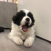 喜儿的生活的个人资料头像