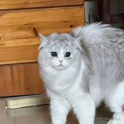 野猪保修卡的个人资料头像