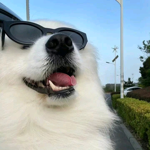 春风头像