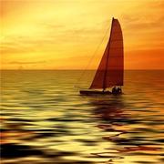 Arnni的个人资料头像