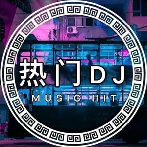 动感车载DJ（车载优盘）头像