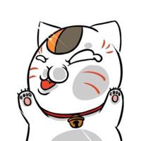 长不大的猪君头像