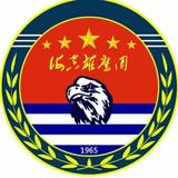 宁波海淘平行车头像