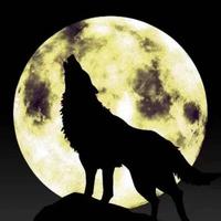 神也佑我狼哥头像