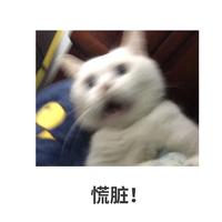 EnjoyLife头像