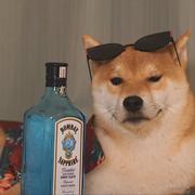 啊焜呀的个人资料头像