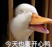 Wingly_Lee的个人资料头像