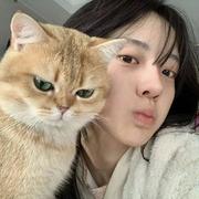 程咬金a的个人资料头像