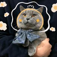 用户5998901107979头像