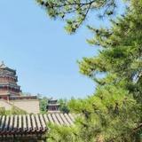 未来可期77Leo头像