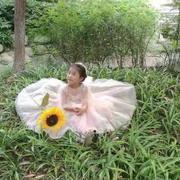 紫雨飘扬的个人资料头像