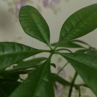 热闹清风5Ug头像