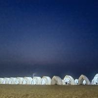 胖胖的二向箔头像