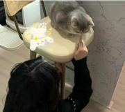 九月晚枫my的个人资料头像