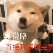 这把我必恰鸡的个人资料头像