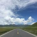 愁小鸭吖头像