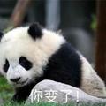 悠闲萌萌头像