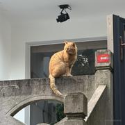 _wong的个人资料头像