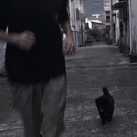 早悟蘭因.头像