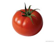 番茄炒你蛋的个人资料头像