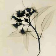 宏一的个人资料头像