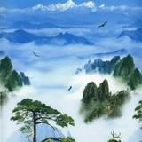 岱宗海洋头像