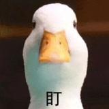 用户8898122262502头像