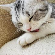 FindGold的个人资料头像