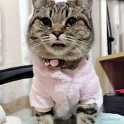 前端折书的个人资料头像