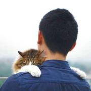 间歇性混吃等死的个人资料头像