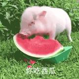 用户9772373022467头像