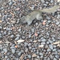 用户2470616612550头像