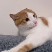 今天吃什么220的个人资料头像