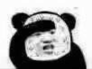 三妹不是佩奇啊责的个人资料头像