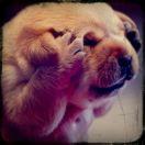 Alex隆的个人资料头像