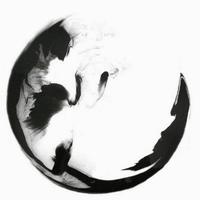 墨池倾羽画头像