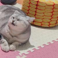 友爱海风Chq头像