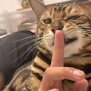 用户5247258178715的个人资料头像