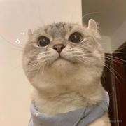 DH大黄的个人资料头像