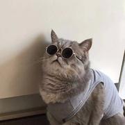 没有腹肌不改名802的个人资料头像