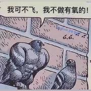 a没错我就是乌合之众的个人资料头像