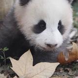 我心飞翔8747头像