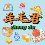 成都羊毛君头像