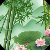 大半话梅头像