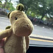 YEJI的小恐龙的个人资料头像