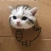 给拿个牛儿的个人资料头像