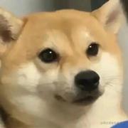 静思ing的个人资料头像