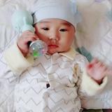 牧羊人2432头像
