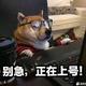 用户3729194557900696 · 宝马3系车主·车龄4年头像